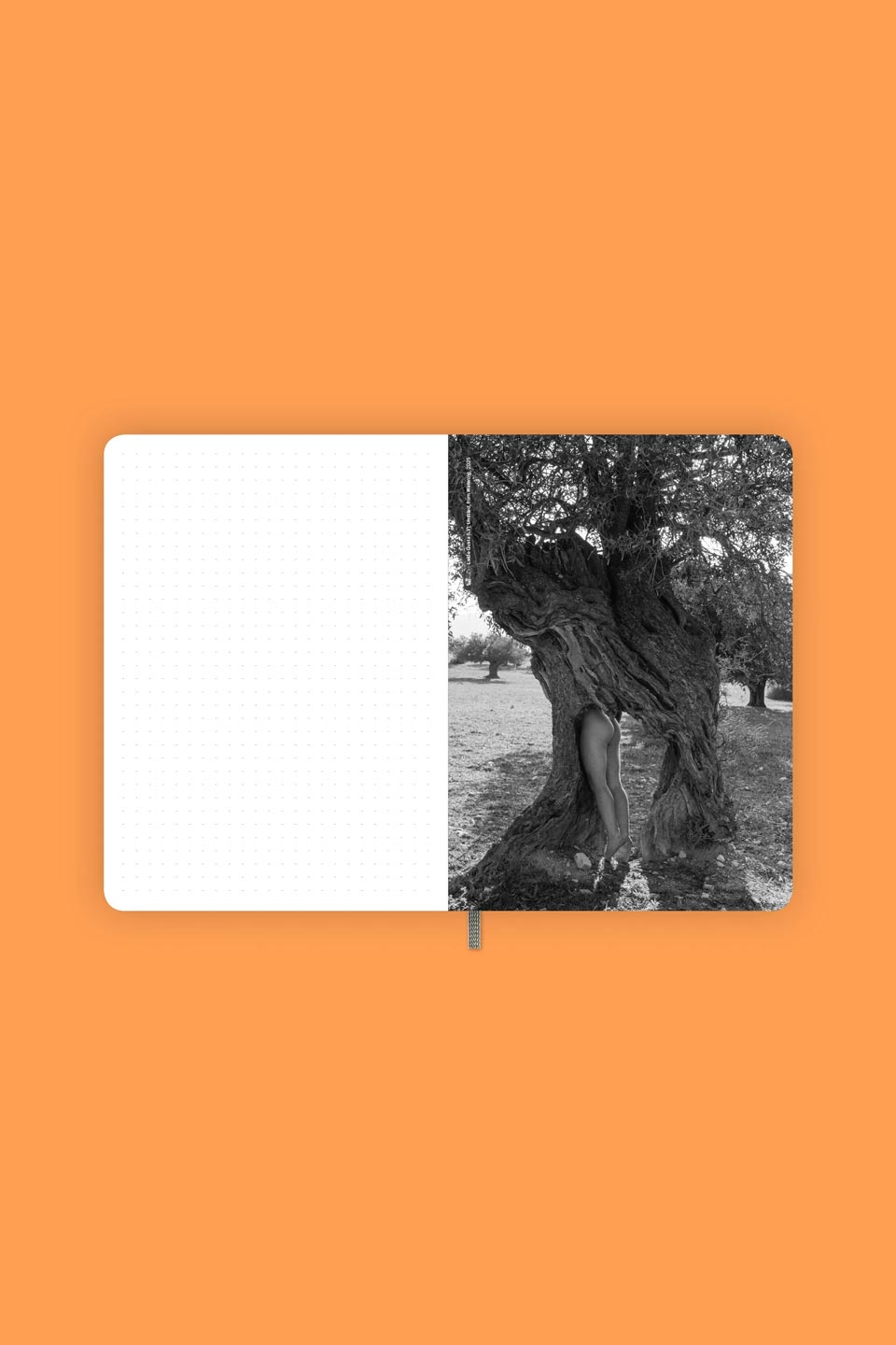 ISSP_2026_planner_01_10