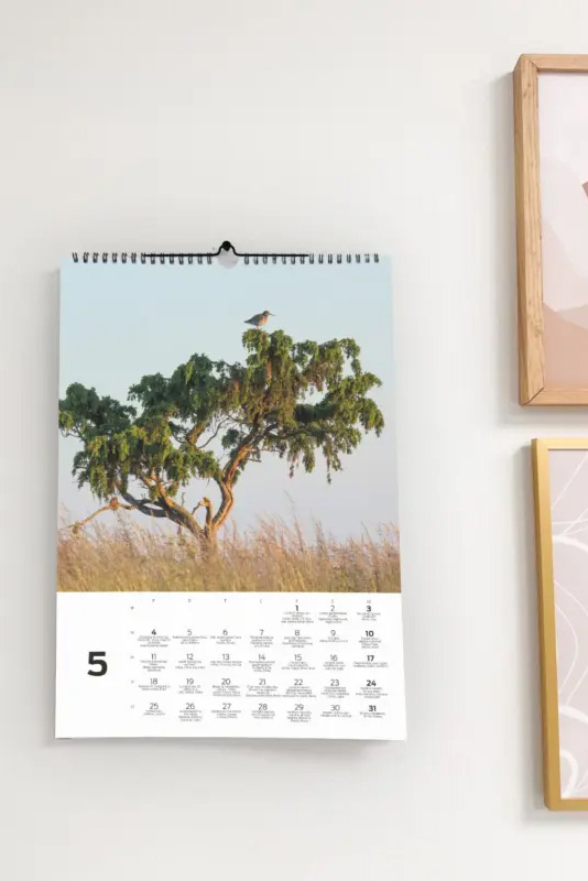 Seik-Sienas-Daba-1 SEIK LAIMĪGAIS SIENAS KALENDĀRS – Daba 2026