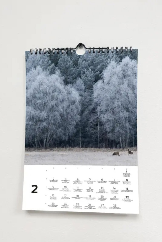 Seik-Sienas-Daba-5 SEIK LAIMĪGAIS SIENAS KALENDĀRS – Daba 2026