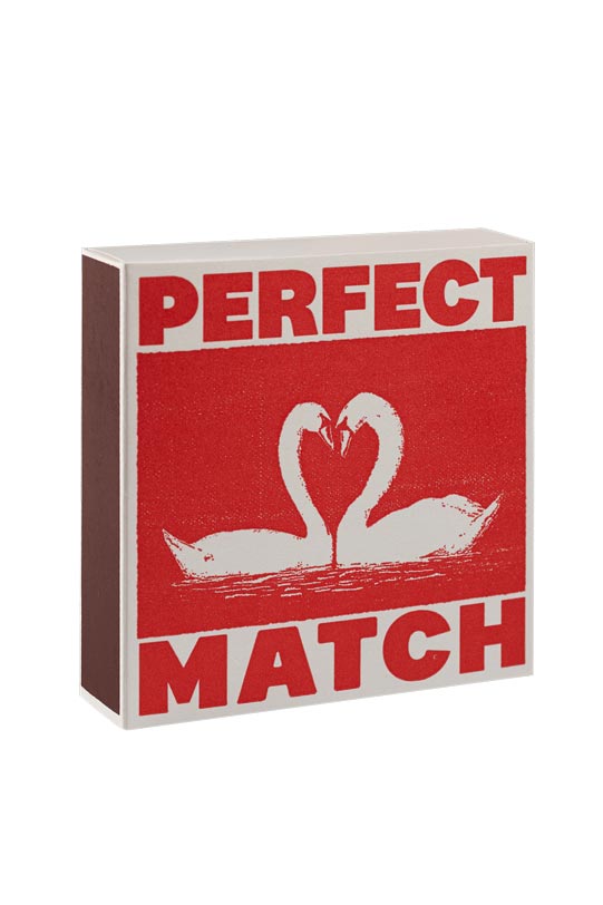 Archivist Matchsticks | I Like You Swans