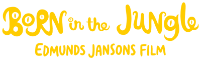 born_in_the_jungle_2lines_ffcc00 (1)