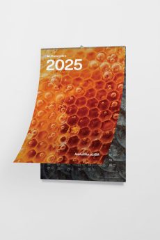 M50 Calendar for 2025 - Look deeper!